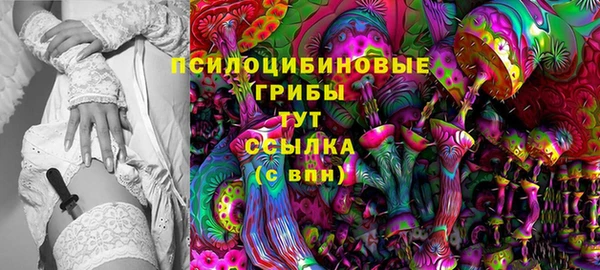 мескалин Арсеньев