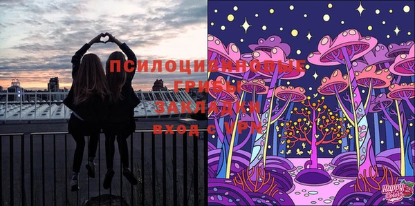 мескалин Арсеньев