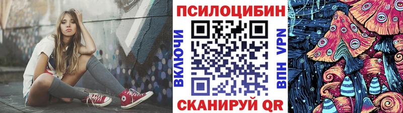 Галлюциногенные грибы MAGIC MUSHROOMS  наркота  Тейково 